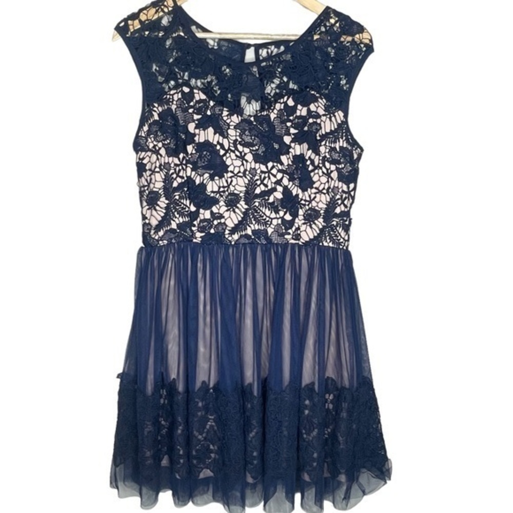 soiéblu Nude and Navy Lace Tulle Dress